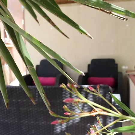 Lemodernlounge, Cosy Moderne Spacieux *