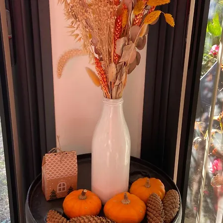 Lemodernlounge, Cosy Moderne Spacieux